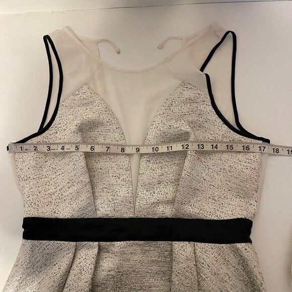 BCBGeneration Aubry Sheer V-Neck Shimmery Fit & Flare Mini Dress Size 8 - Picture 6 of 10